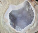 Crystal Filled Dugway Geode (Polished Half) #38868-1